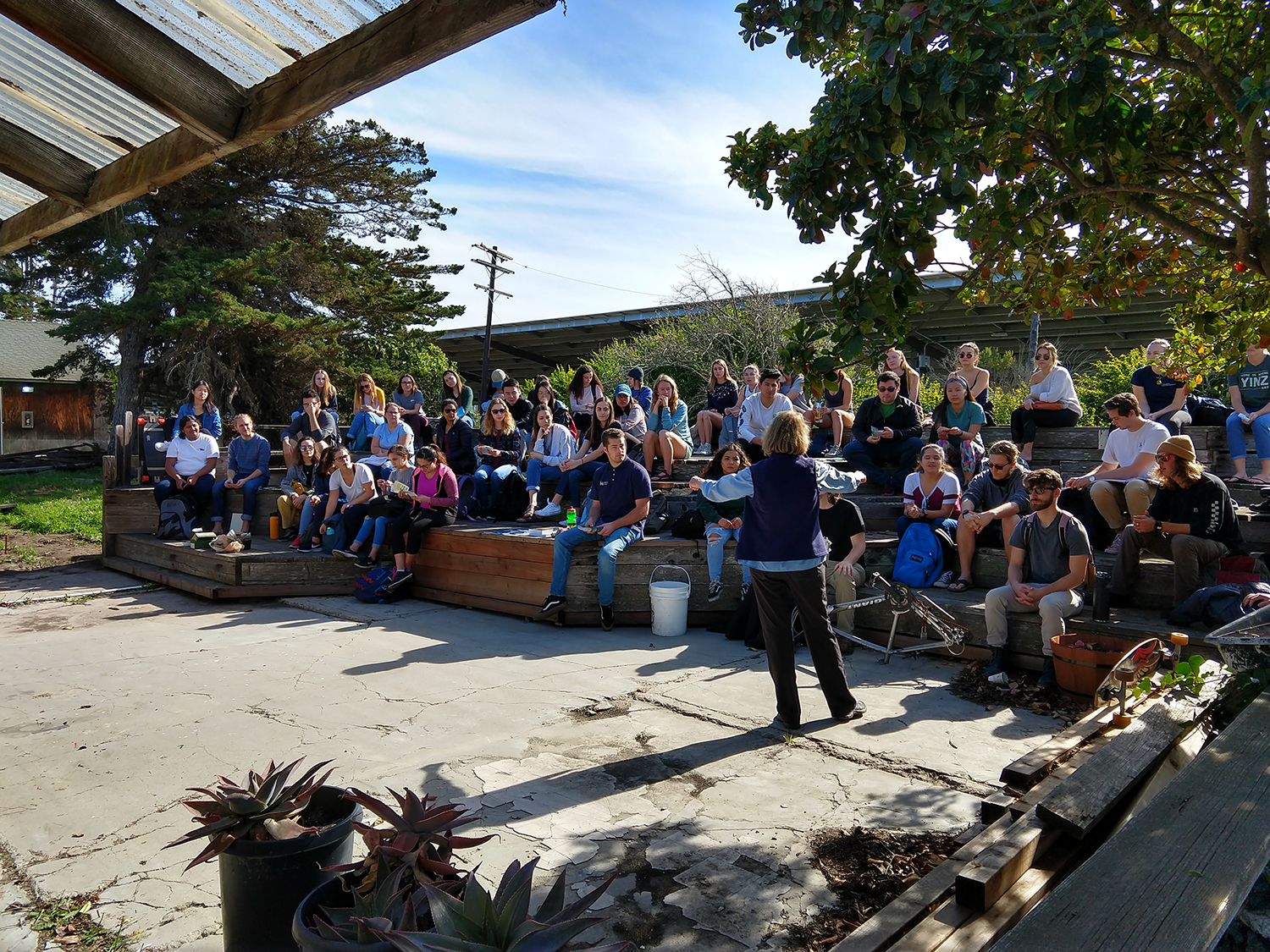 Bridget_Lewin-Winter-2019