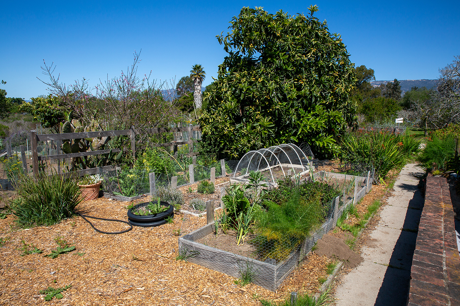 garden-greenhouse_07