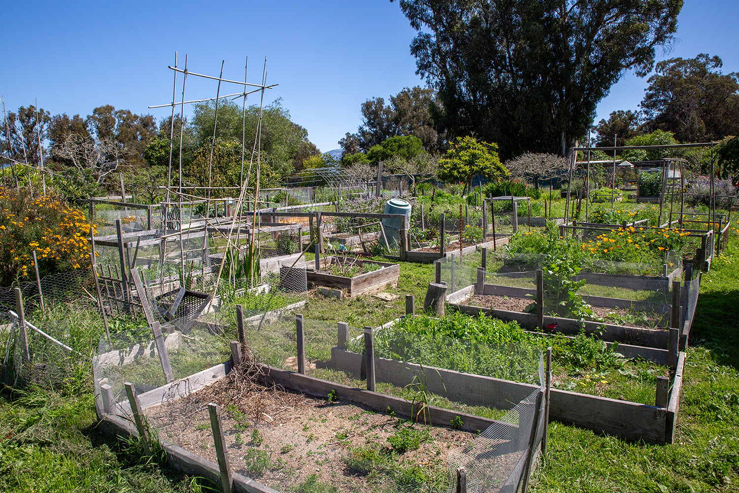 garden-greenhouse_56