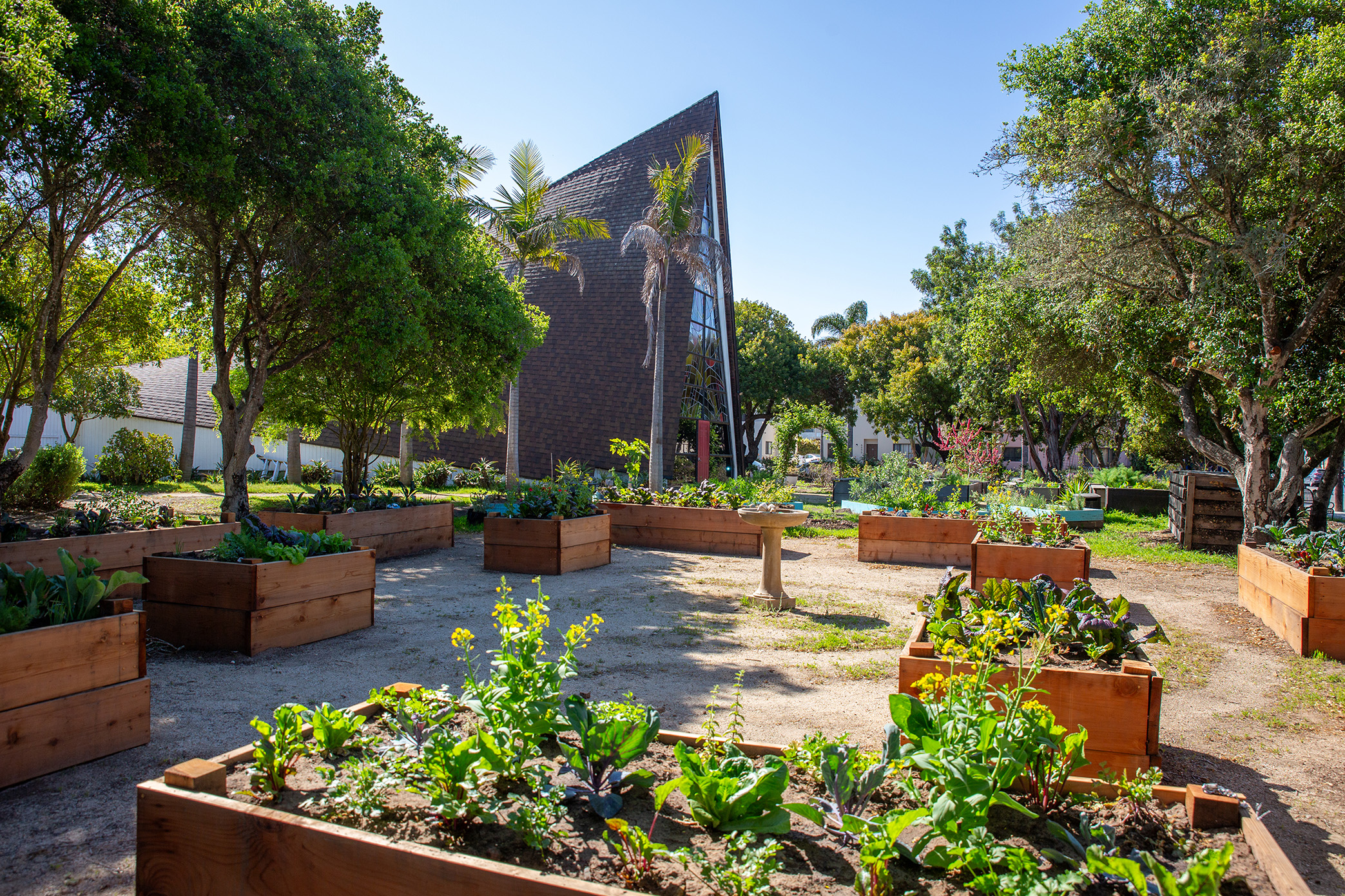 St. Michael's Community Garden
