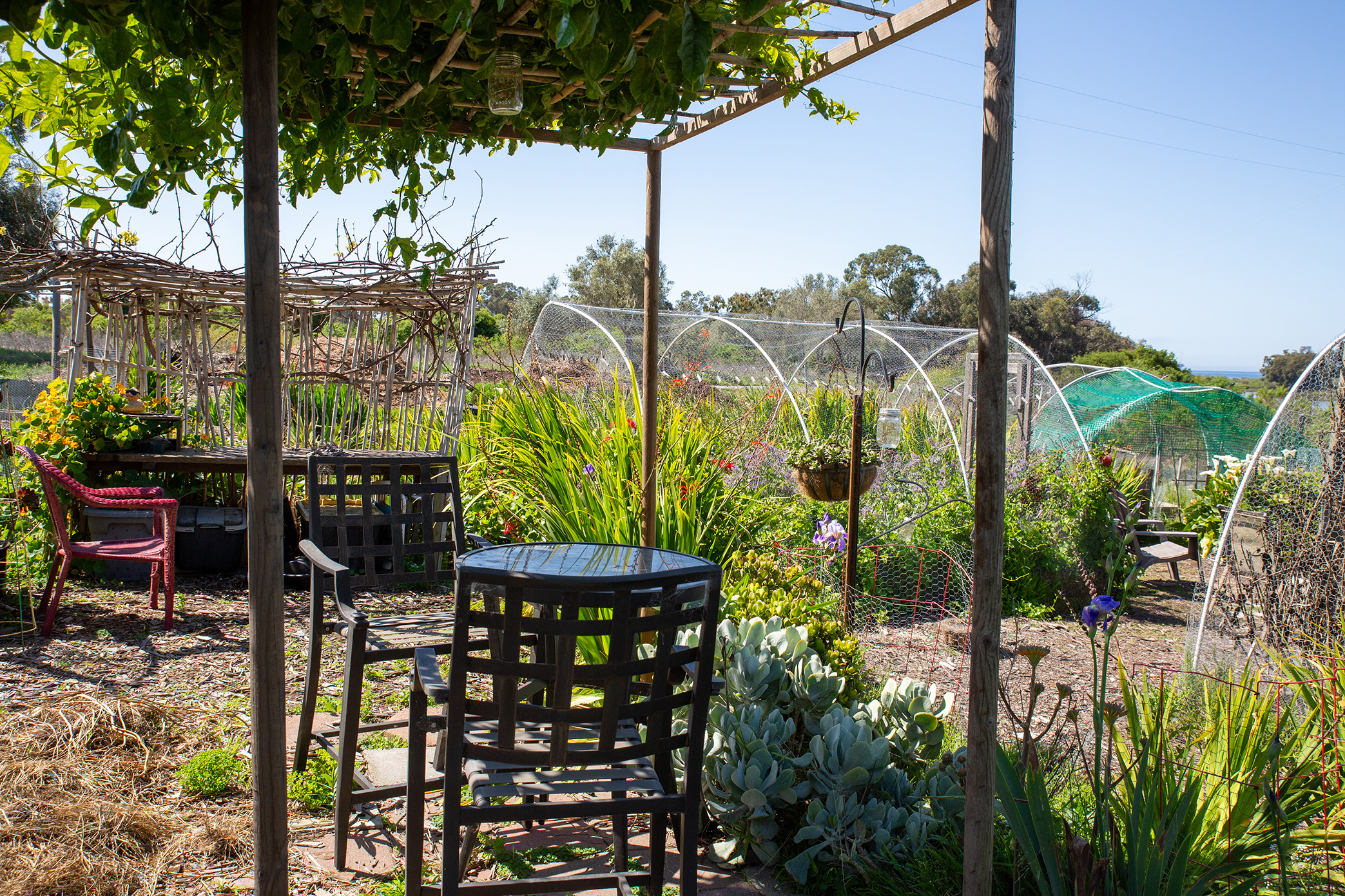 West Campus Family Student Housing Garden