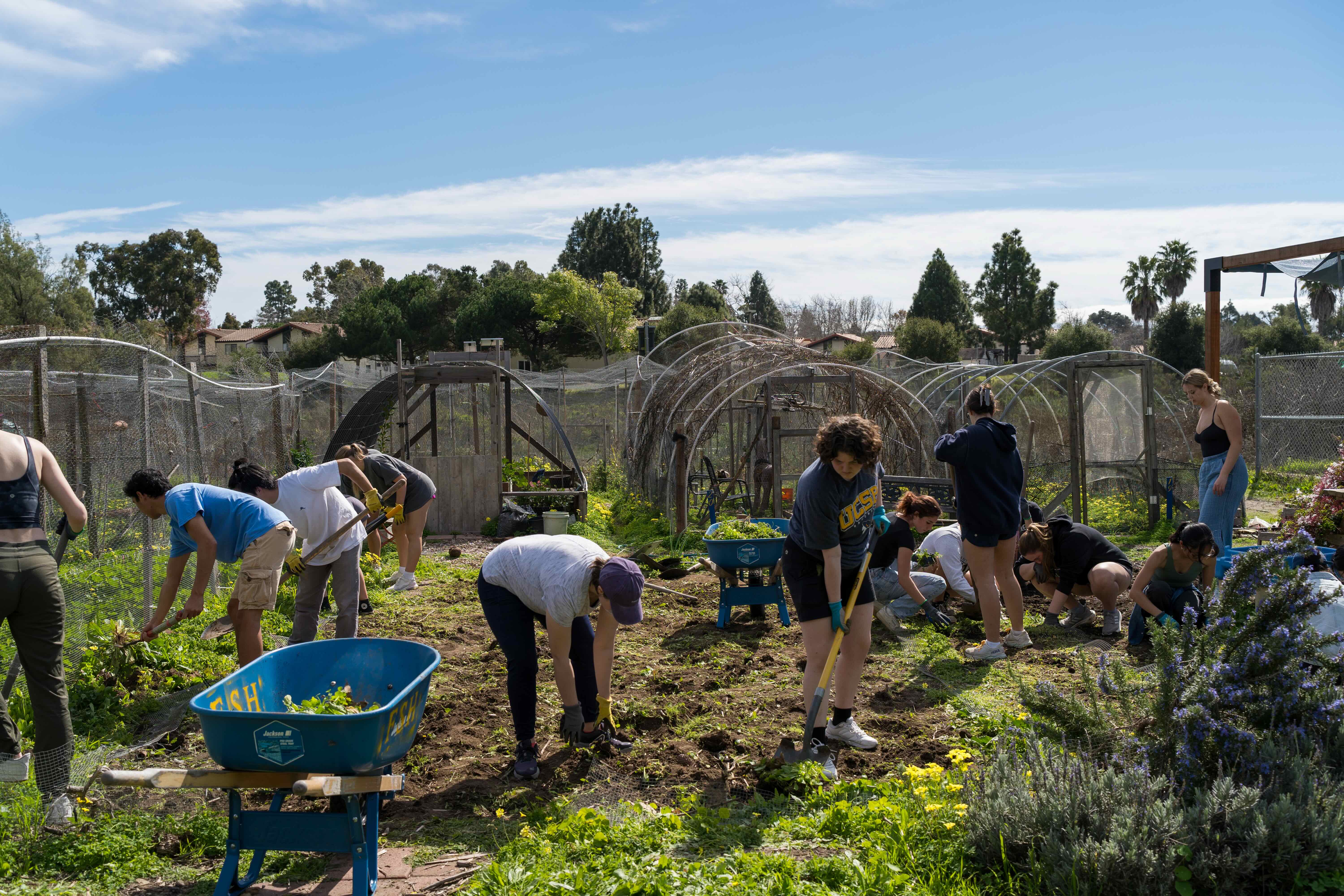Photo of individuals cleaning up Family Student Housing gardens. 