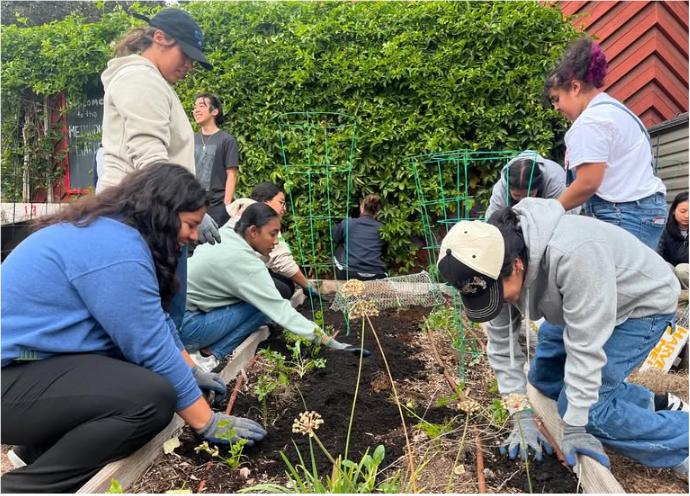 Photo of community members harvesting at Methodist Community Garden
