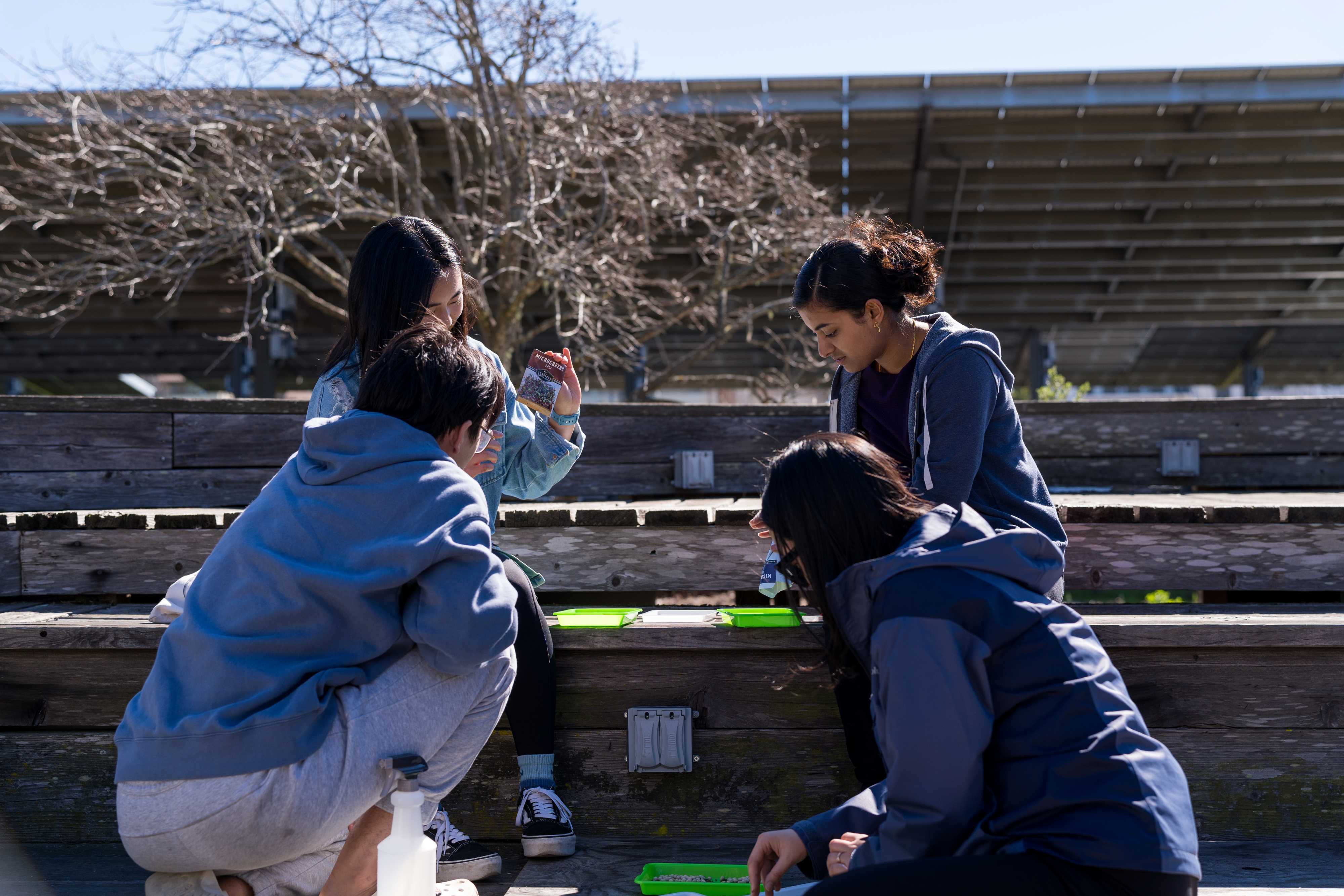 Group of students planting in microgreen trays