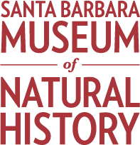 Santa Brabara Museum of Natural History Logo
