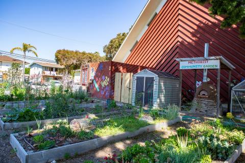 University United Methodist (UUme) Church Garden